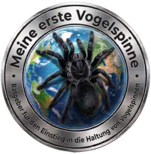 meine-erste-vogelspinne.at